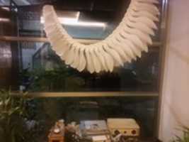 Free download [2017-2015] Time-space travel gift to Lab Dimension Plus, Taipei free photo or picture to be edited with GIMP online image editor